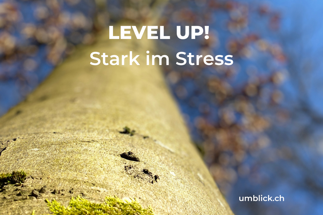 LEVEL UP! Stark im Stress - Resilienz & Agilitäts Training
